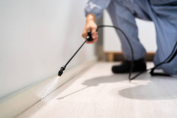 Licensed Cockroach Control service in Geronimo, OK - Nex Pest Control